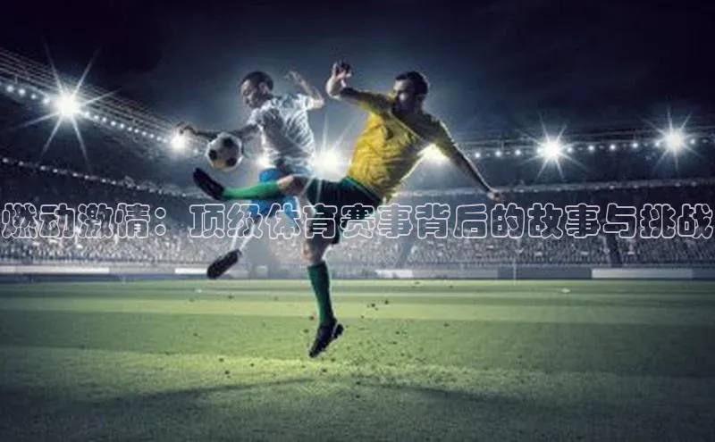 乐玩lewin官网入口